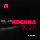 Kobana Deep House Essentials - сэмплы в стиле Deep House / Progressive House