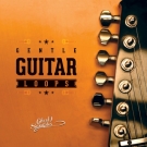 Gentle Guitar Loops - комплекты с акустической гитарой, электрогитарой и бас-гитарой