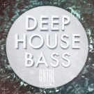 Deep House Bass - набор сэмплов в стиле Deep House