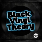 Black Vinyl Theory - виниловые сэмплы барабанов, пианино и другие