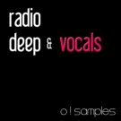 Radio Deep and Vocals - пакет смешанных строительных комплектов