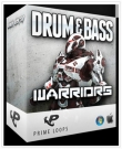 Drum and Bass Warriors - коллекция сэмплов для стиля Drum and Bass