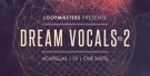 Dream Vocals Vol.2 - вокальные сэмплы и фразы