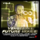 Future House Vol.2 - строительные наборы для House, Electro, Dance, Minimal
