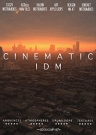 Cinematic IDM - библиотека ритмов и эмоциональных текстур