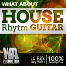 House Rhythm Guitar - полезные риффы гитар для House и EDM