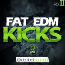 Fat EDM Kicks 2 - 80 качественных oneshot киков для EDM