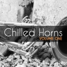 Chilled Horns - 119 лупов саксофона и трубы в стиле Jazz, Chillout и Hip-Hop