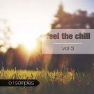 Feel The Chill 3 - 4 строительных набора с вокальными сэмплами