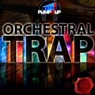 Pump It Up: Orchestral Trap - 5 уникальных Trap комплектов с оркестровыми элементами