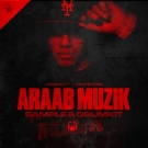 ARAAB MUZIK Sample & Drumkit - ударные ваншоты и эксклюзивные сэмплы ARAAB MUZIK