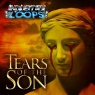 Tears Of The Son - сборка аудио soundscape / ambient