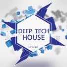 Deep Tech House Collection - сэмплы битов, грувов, басов, синтезаторов и эффектов