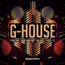 G-House - лупы, one-shot'ы и пресеты massive в стиле House