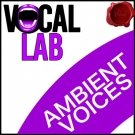 Vocal Lab Ambient Voices - сэмплы атмосферного и воздушного вокала