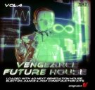 Future House Vol. 4 - 40 комплектов для современного Electro, House, Trance