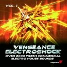 Electroshock vol. 1 - более 2000 сэмплов для создания Electro House музыки
