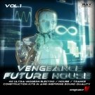 Future House Vol.1 - 40 комплектов в стиле Electro House