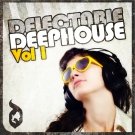 Delectable Deep House - 15 готовых комплектов Deep House сэмплов