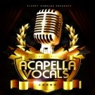 Acapella Vocals - 5 вокальных EDM комплектов с полными акапеллами