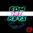 EDM Hit Keys -  120 лупов фортепиано и электропиано с темпом 128bpm