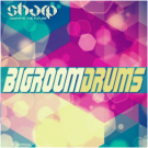 Bigroom Drums - набор из 100 лупов ударных для Big Room