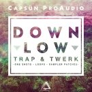 Down Low Trap and Twerk - свежие ваншоты, лупы и пресеты для Trap и Twerk