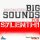 скачать Beatmasters: Big Sounds -  64 Electro клубных Sylenth1 пресетов торрент