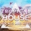 скачать Tropical House Vocals And Kits - Tropical House сэмплы, MIDI, лупы, пресеты и oneshot'ы торрент