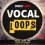 скачать Vocal Samples - мощные фразы вокала для EDM торрент