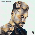 Soulful Vocals 2 - мужские вокальные сэмплы для электронных стилей