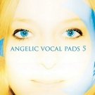 Angelic Vocal Pads 5 - сэмплы ангельских вокальных пэдов и фраз