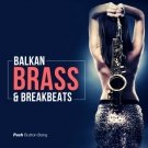 Balkan Brass and Breakbeats - уникальные партии брасса, саксофона и ударных