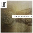 Dub Intelligence - универсальные лупы, one shot сэмплы и эффекты