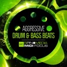 Aggressive Drum and Bass Beats - сэмплы ударных, синтезатора и баса в стиле DnB