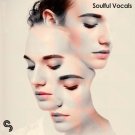 Soulful Vocals - набор вокальных фраз, отрывки и нарезки