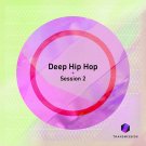Deep Hip-Hop Session vol.2 - лупы, one-shot сэмплы, MIDI, Sylenth пресеты для Hip-Hop