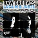 Raw Grooves Luca M and JUST2 - атмосферные сэмплы, басы, ударные, вокал и эффекты для Tech House
