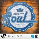 Mighty Soul - сэмплы теплых винтажных соул звуков