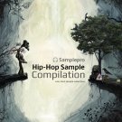 Hip-Hop Sample Compilation - сборка из 17000 oneshot сэмплов для Hip-Hop
