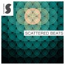Scattered Beats - сэмплы ударных для коллекция Garage, Deep Dubstep и Future Hip-Hop