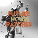 Future House Patches - более 100 мелодичных Spire пресетов для Future House