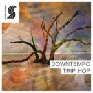 Downtempo Trip Hop - органические сэмплы, лупы и пресеты для Trip Hop