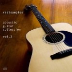 Realsamples Slap Bass Collection - одиночные ноты электрической бас-гитары для ваших сэмплеров