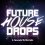 скачать Future House Drops - набор массивных и жирных Future House сэмплов торрент