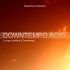 Downtempo Box - атмосферные и ударные сэмплы для Lounge и Ambient