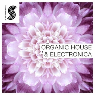 Organic House and Electronica - органичная смесь электронных звуков и природных ритмов